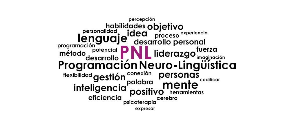 Imagen PNL.jpg